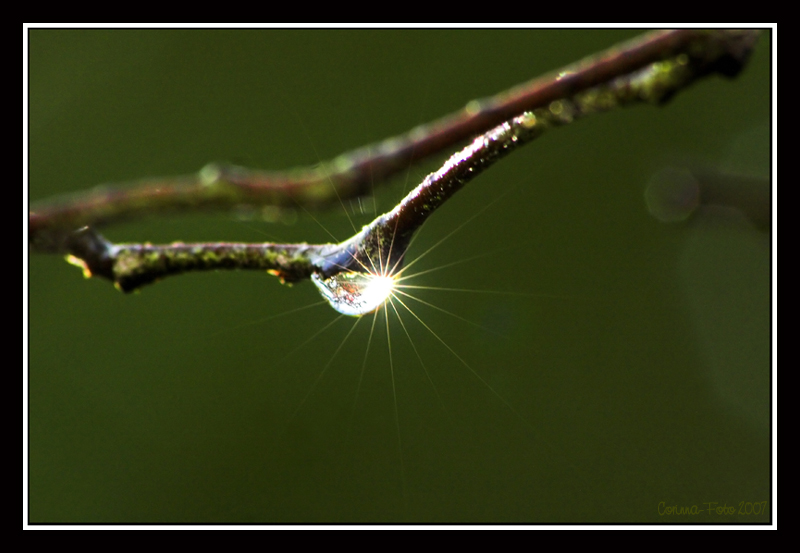 Weitere Lichtblicke (2)