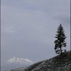 Weiterer Blick vom Vorsäß Boden auf den Diedamskopf im Bregenzerwald