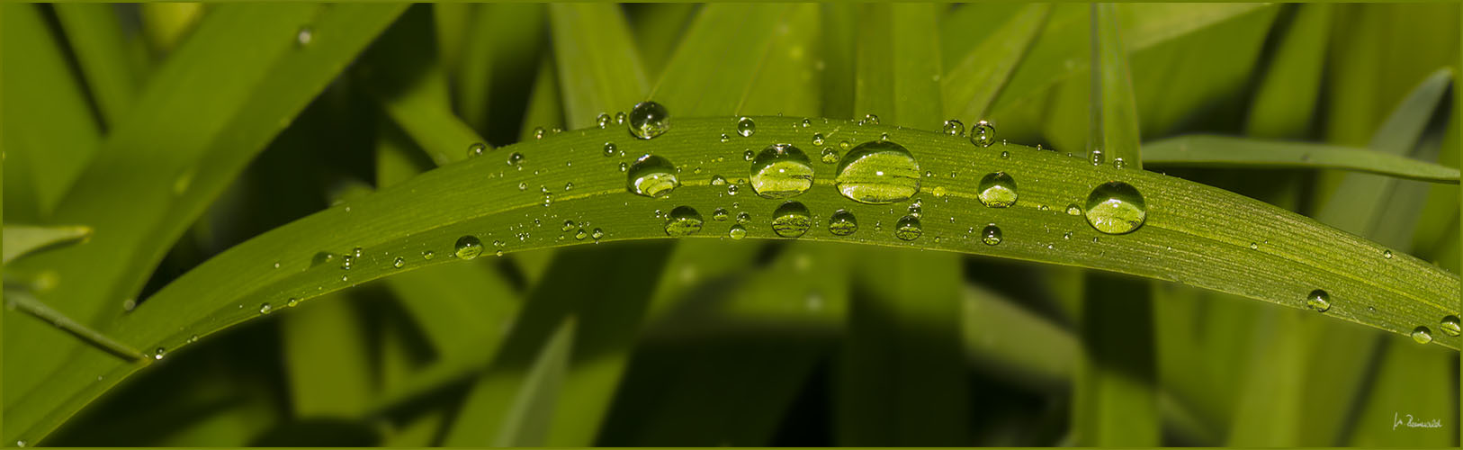 Weiterer Wetterbericht