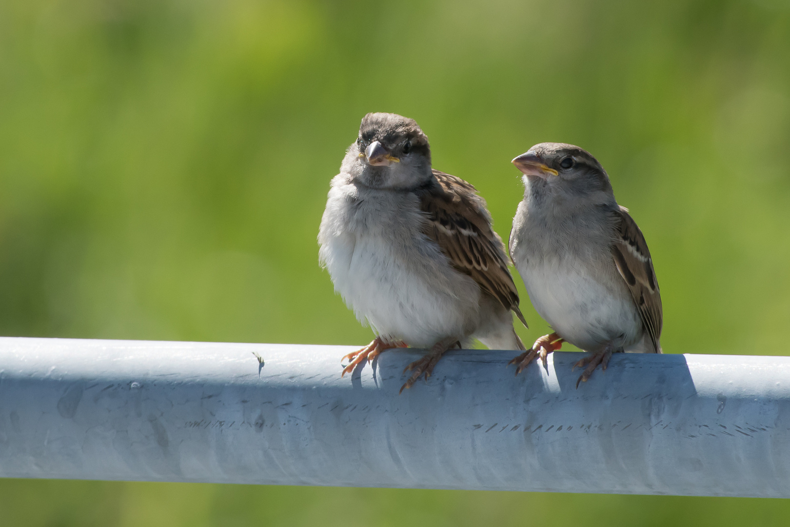 Weiteres Vorgehen?