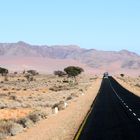 Weiterfahrt nach Kolmanskuppe und Lüderitz