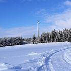 Weiterführung Wasserscheideweg Richtung A9 und Dorf Querenbach 