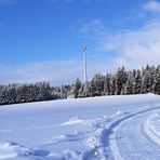 Weiterführung Wasserscheideweg Richtung A9 und Dorf Querenbach 