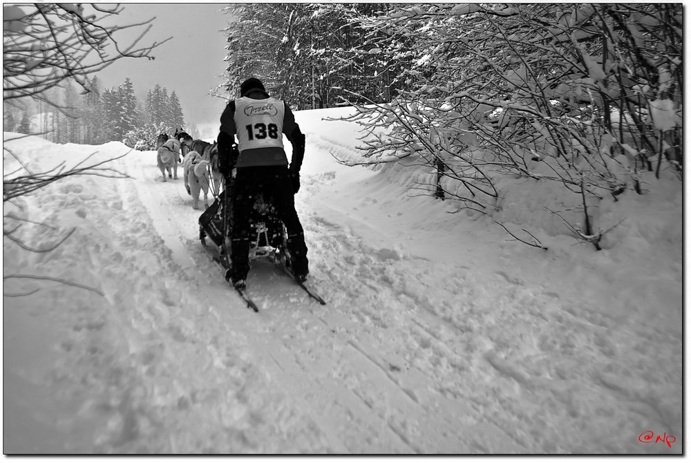 WeiterGehts EM-Inzell09