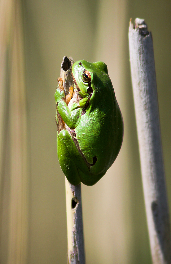 ...weiterhin sonnig...