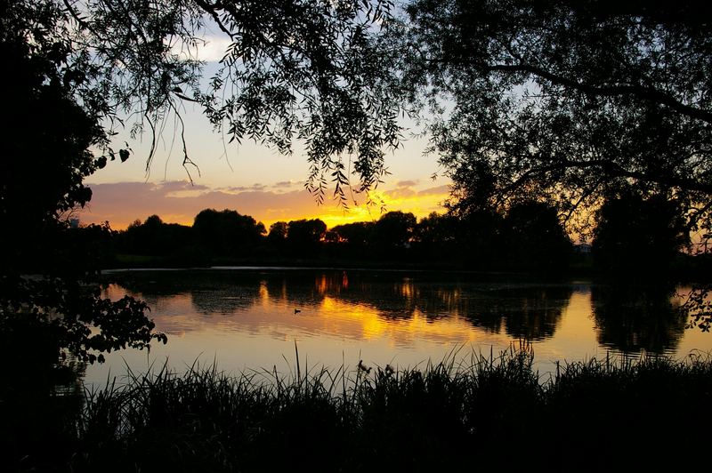 Weiterndorfer Weiher