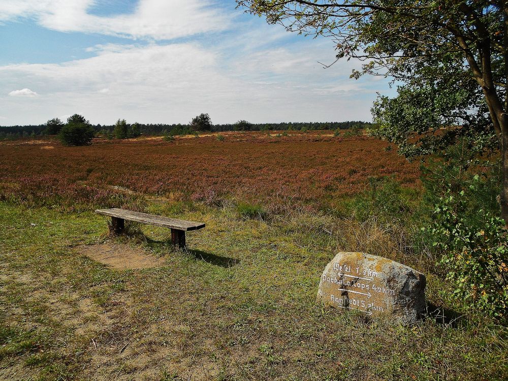 Weiterwandern oder ausruhen?