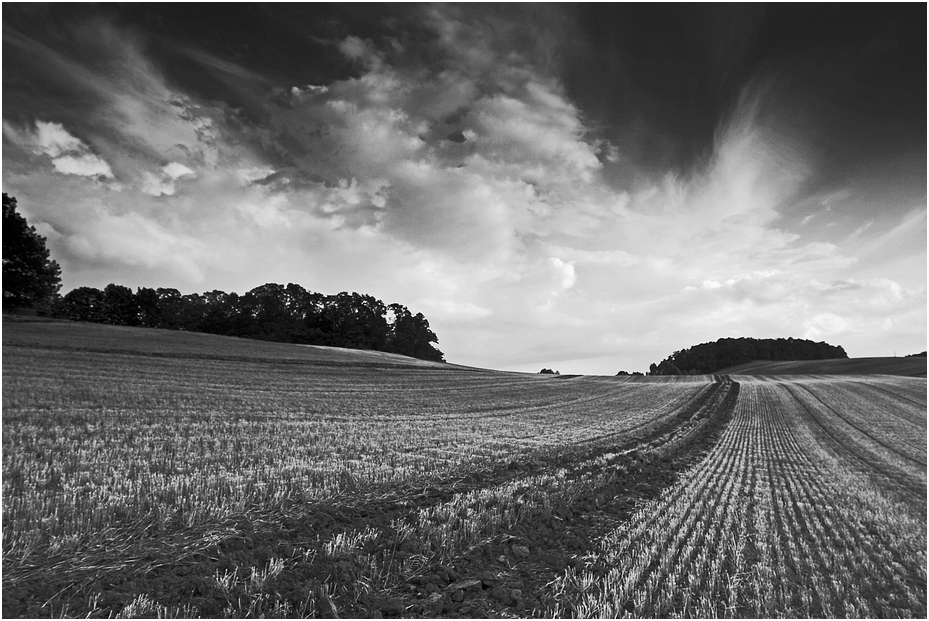 Weites Feld by Frank Sensel 