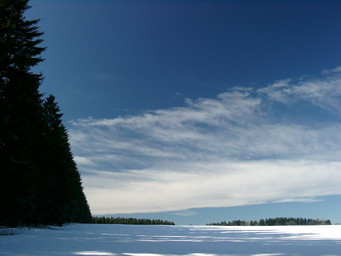 Weites Feld ...
