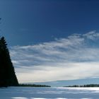 Weites Feld ...