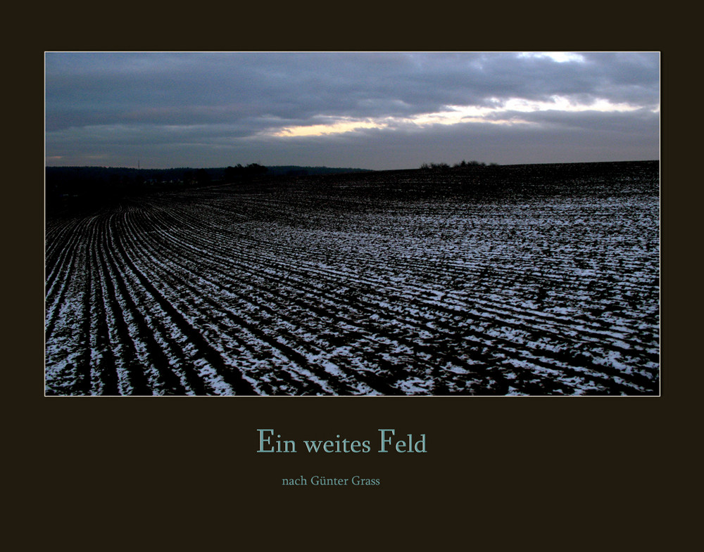 weites feld