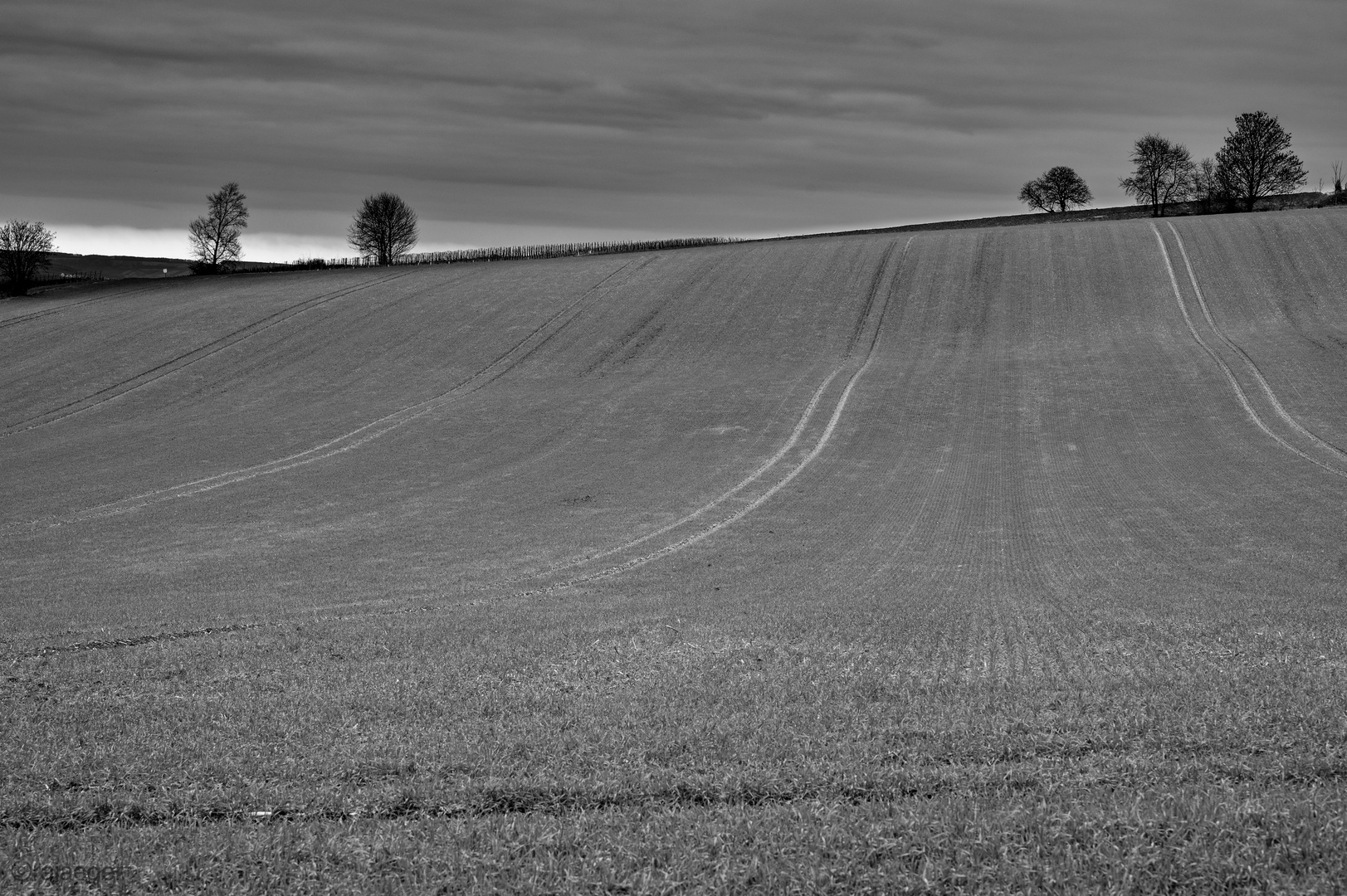 Weites Feld im grauen Winter