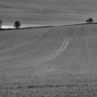 Weites Feld im grauen Winter