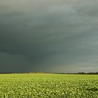 Weites Feld im Herbst