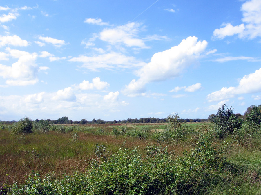 Weites, gefährliches Land