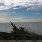 weites IJsselmeer