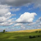 Weites Land (2021_06_20_6819_EOS 100D_ji)