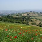 Weites Land - Abruzzen bei Civitella