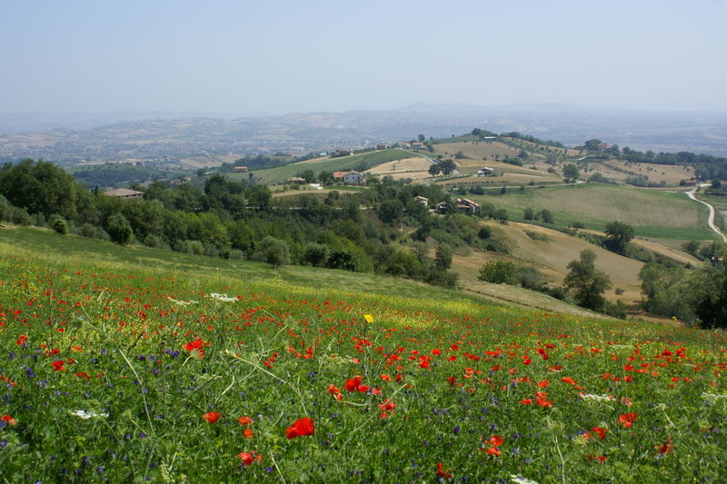 Weites Land - Abruzzen bei Civitella