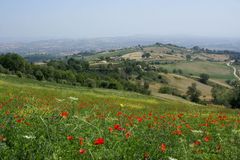 Weites Land - Abruzzen bei Civitella