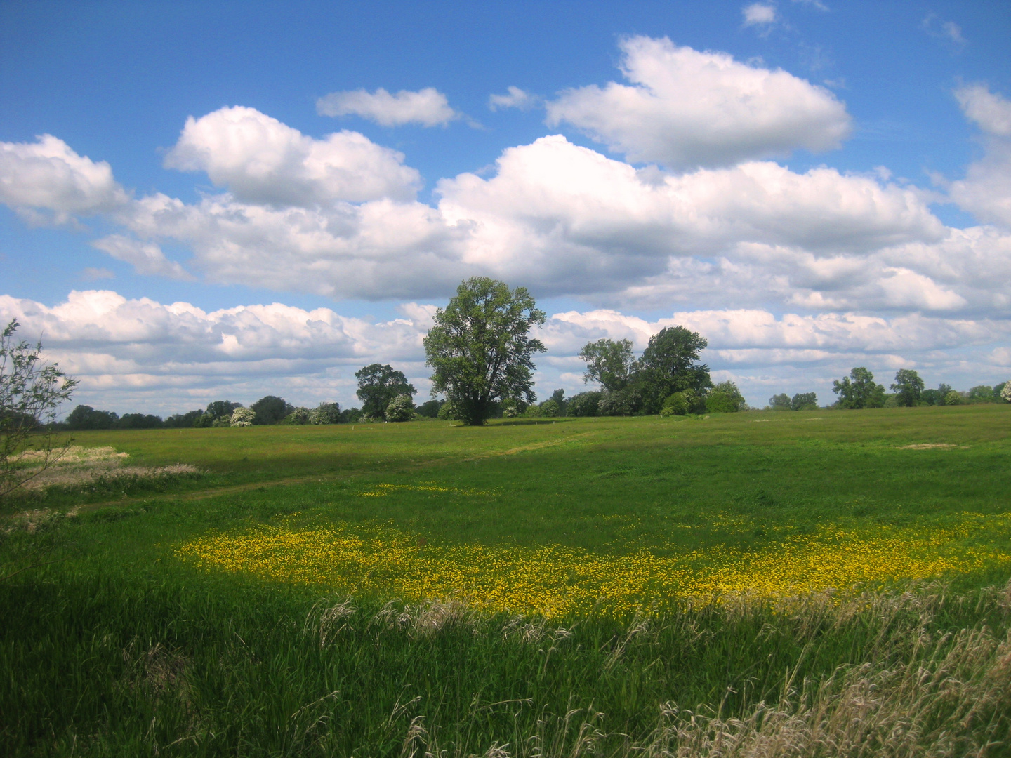 Weites Land an der Elbe, Bleckede