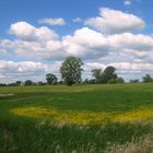 Weites Land an der Elbe, Bleckede