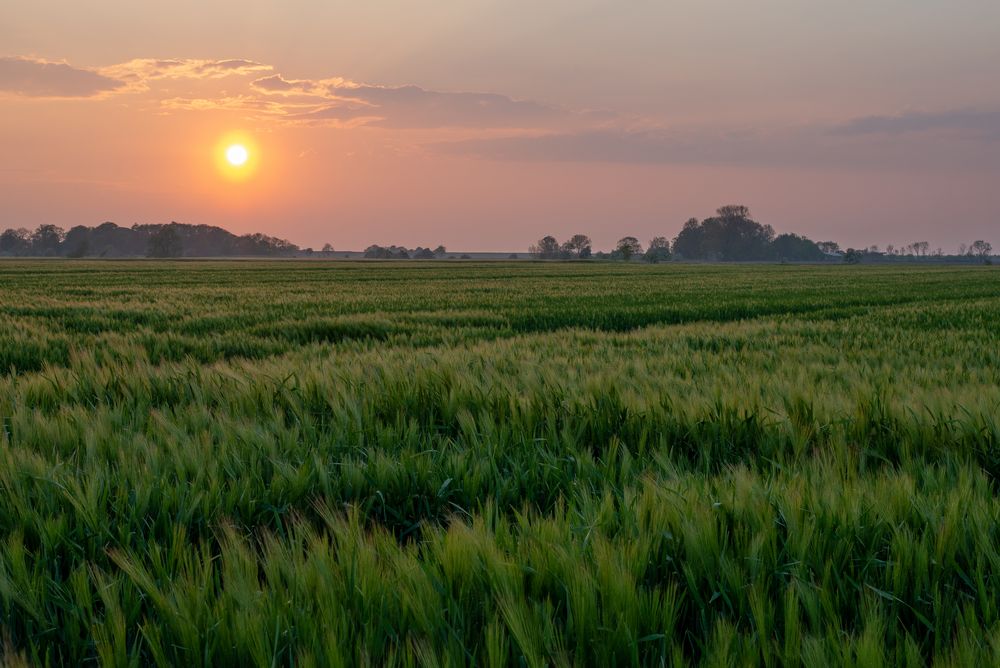 Weites Land an der Küste