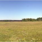 Weites Land