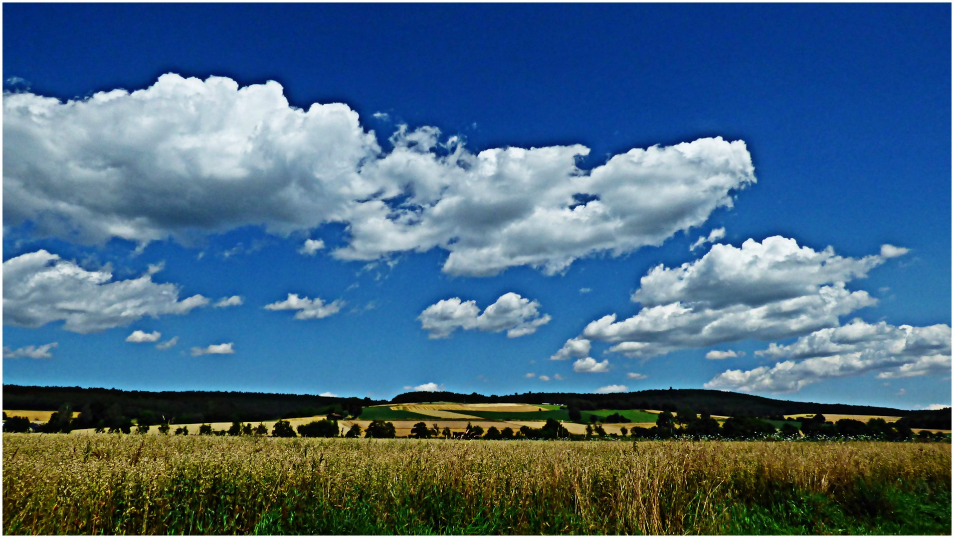 Weites Land Besetzung Weites Land Besetzung