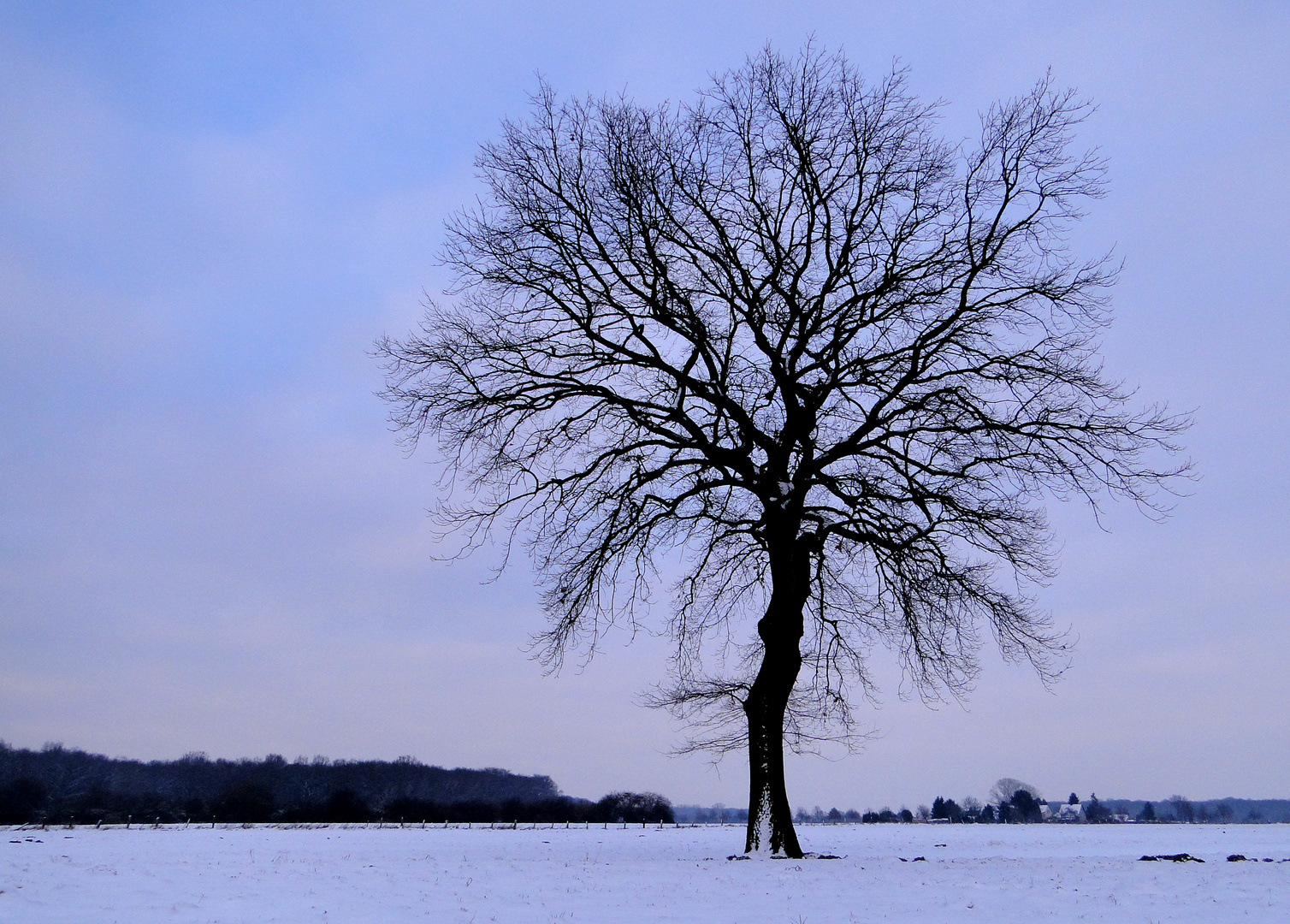 Weites Land im Dortmunder Norden