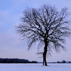 Weites Land im Dortmunder Norden