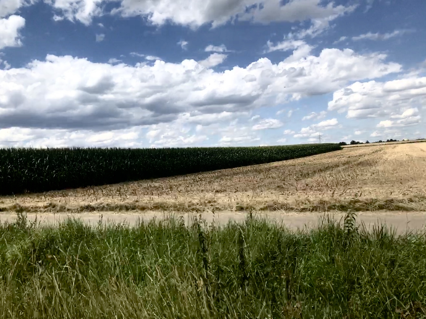 Weites Land im Hochsommer 