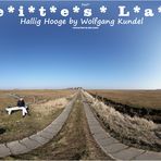 Weites Land im Panorama - Hallig Hooge