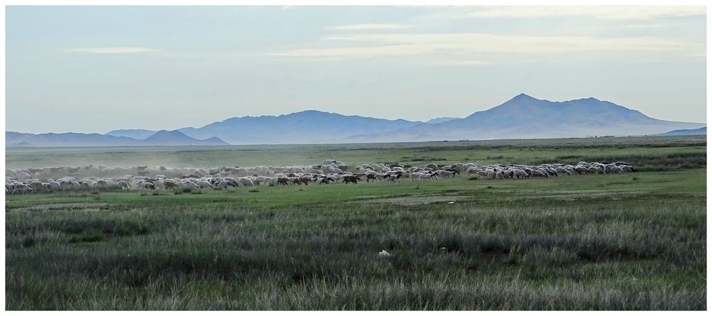  Weites Land in der Mongolei