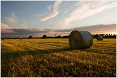 Weites Land in Farbe und bunt