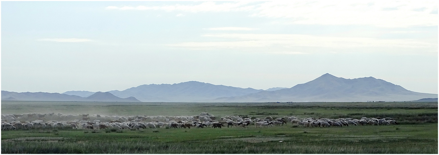 Weites Land     (Mongolei)