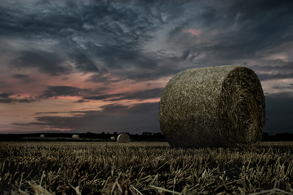 weites Land..... Niederrhein