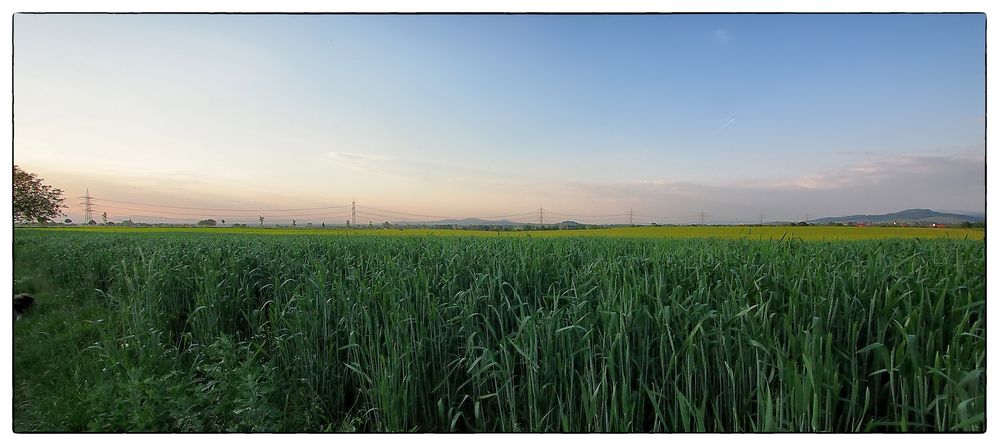 Weites Land Oberrhein