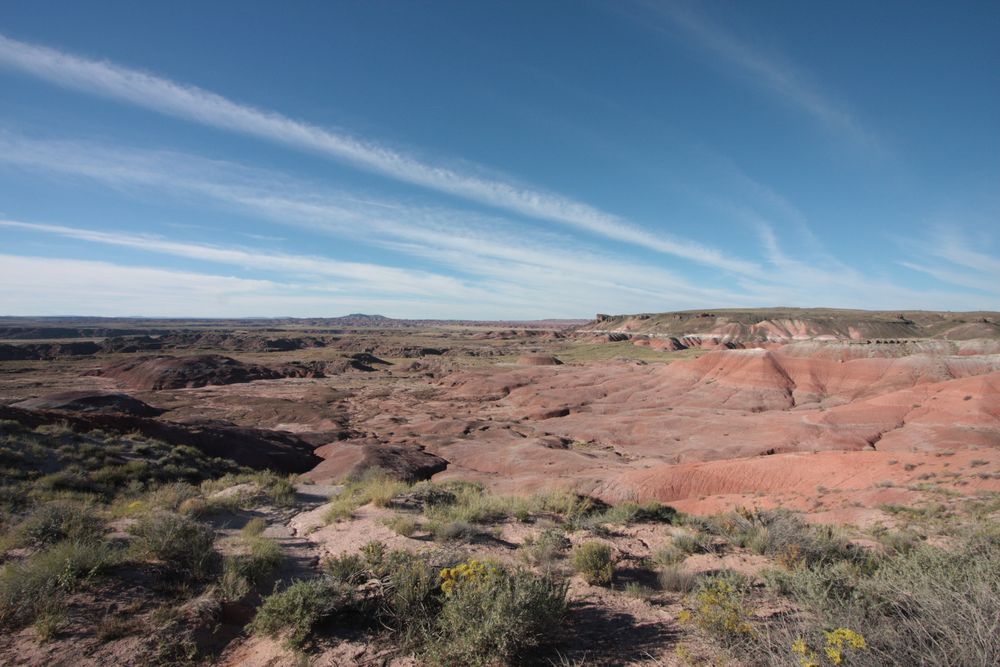 Weites Land - Petrified Forest, Arizona