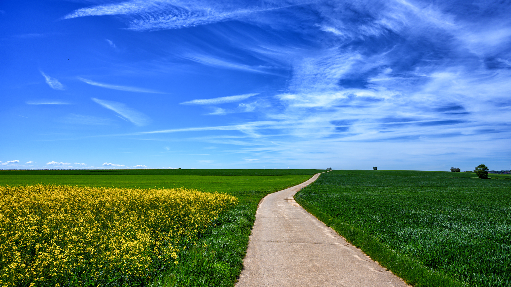 Weites Land - Rheinhessen