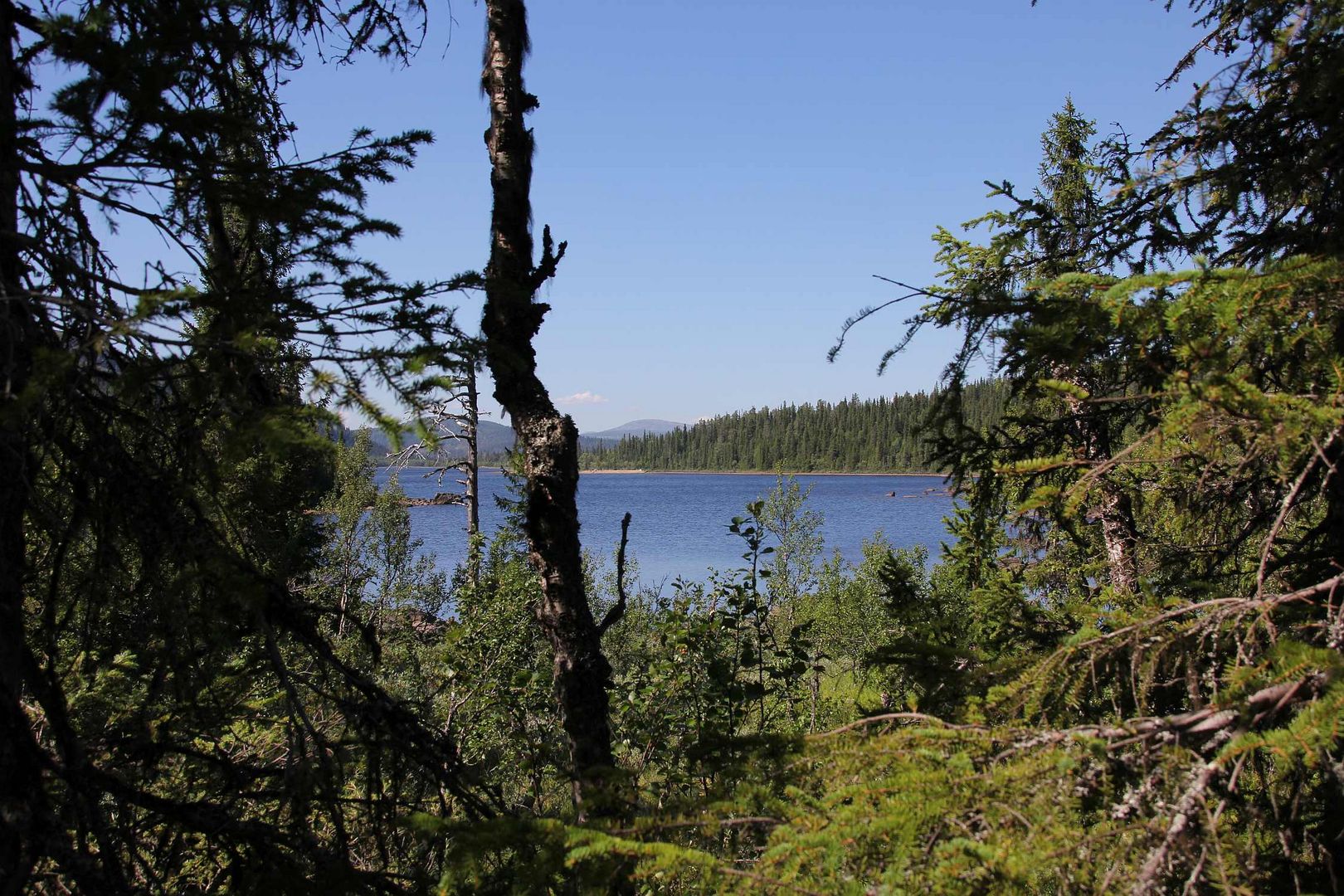 Weites Land - tiefe Wildnis im Langsua-Nationalpark...