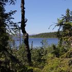 Weites Land - tiefe Wildnis im Langsua-Nationalpark...