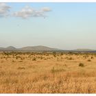 Weites Land - Tsavo East