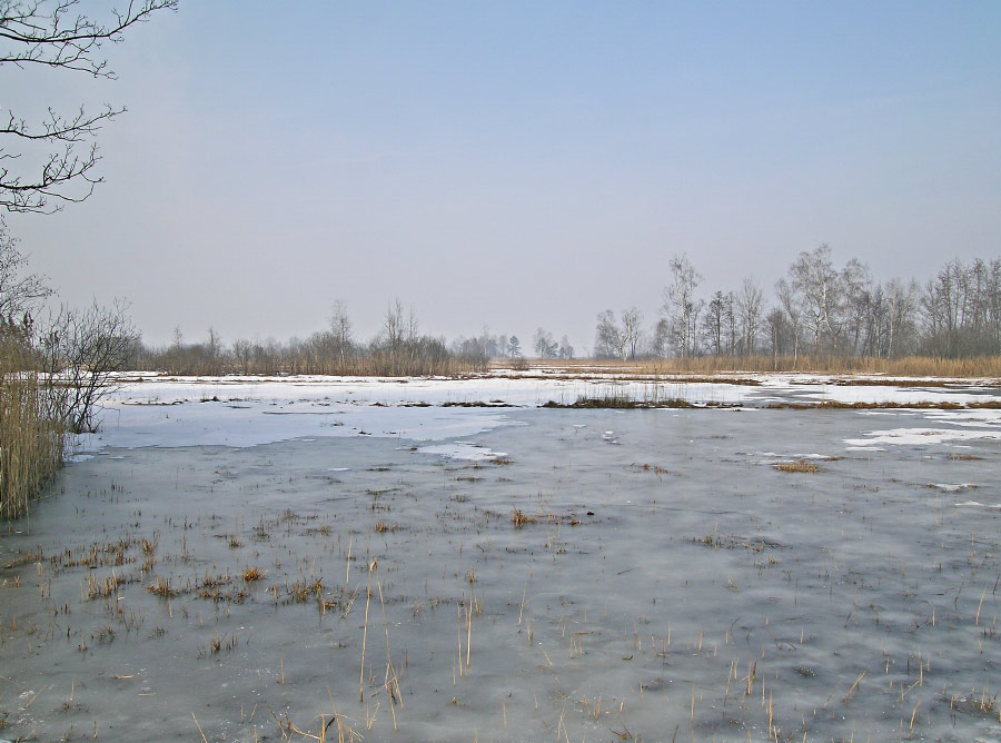 weites Land, unberührt und unbegehbar