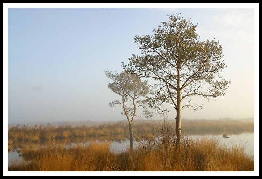 Weites Moor