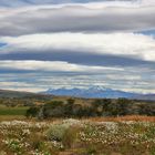 Weites Patagonien