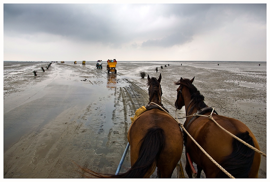 Weites Wattenmeer, oder...