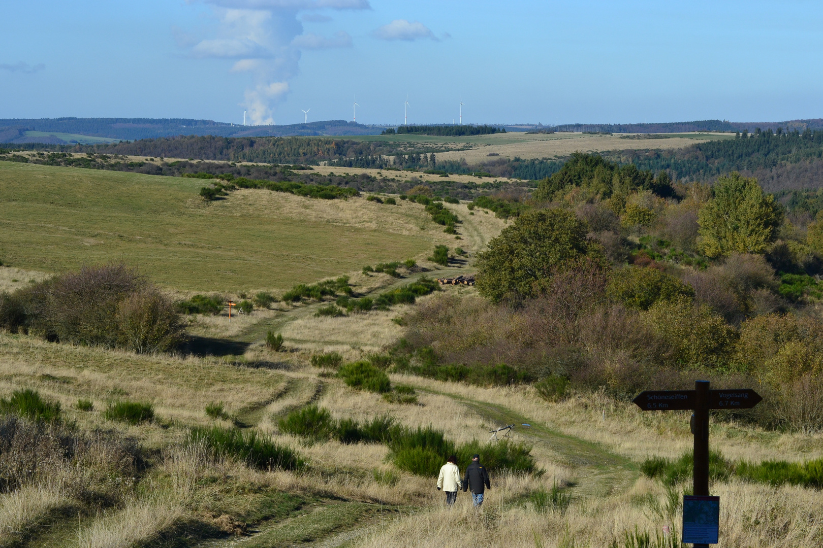 Weitläufig im Nationalpark Eifel