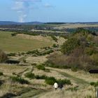 Weitläufig im Nationalpark Eifel