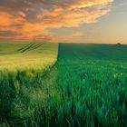 Weitläufiges grünes Feld bei herrlichem Sonnenuntergang, eine farbenfrohe Panoramalandschaft